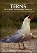 Terns of Europe and North America