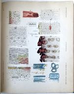 Verhandelingen Der Koninklijke Akademie Van Wetenschappen, Vol. 10, 1864