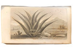 Mexico in 1827 By H.G. Ward, Esq. His Majesty's Charge D'Affaires in That Country During the Years 1825, 1826, and in Part of 1827. First Edition