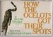 How the Ocelots Got Their Spots