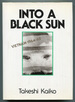 Into a Black Sun