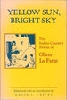 Yellow Sun, Bright Sky: the Indian Country Stories of Oliver La Farge