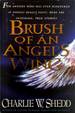 Brush of an Angel's Wing