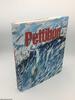 Raymond Pettibon (Rizzoli Classics)
