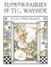 Flower Fairies of the Wayside (Serendipity Books)