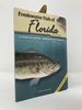 Freshwater Fish of Florida Field Guide (Fish Identification Guides)