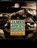 James Joyce's Odyssey: a Guide to the Dublin of Ulysses