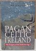 Pagan Celtic Ireland: the Enigma of the Irish Iron Age