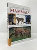 Field Guide to Larger Mammals of Africa