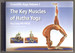 The Key Muscles of Hatha Yoga (Scientific Keys Volume I)