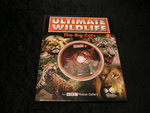 Ultimate Wildlife: the Big Cats