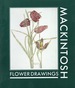 Mackintosh Flower Drawings