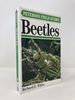 A Field Guide to Beetles of North America