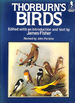 Thorburn's Birds (Mermaid Books)