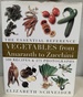 Vegetables From Amaranth to Zucchini: the Essential Reference: 500 Recipes, 275 Photographs