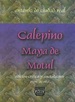 Calepino Maya De Motul