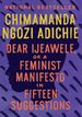 Dear Ijeawele, Or a Feminist Manifesto in Fifteen Suggestions