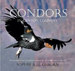 Condors in Canyon Country: the Return of the California Condor to the Grand Canyon Region