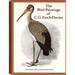 The Bird Paintings of C.G. Finch-Davies