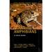 Texas Amphibians: a Field Guide