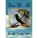 Nos Paranan Onze Vogels Our Birds: Curacao, Bonaire, Aruba (English and Dutch Edition)