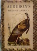 Audubon's Birds of America