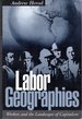 Labor Geographies: Workers and the Landscapes of Capitalism