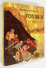 Exploring the World of Fossils