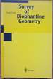 Survey of Diophantine Geometry