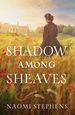 Shadow Among Sheaves