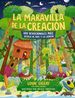 La Maravilla De La Creacin: 100 Devocionales Ms Acerca De Dios Y La Ciencia (Indescribable Kids) (Spanish Edition)