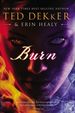 Burn Hb By Ted Dekker