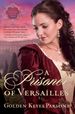 A Prisoner of Versailles (Darkness to Light Series)