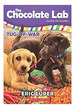 Chocolate Lab, the 2: Tug of War-Scholastic, De Luper, Eric. Editorial Scholastic Publ. (Usa) En Ingls, 2017