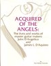 Acquired of the Angels: the Lives and Works of Master Guitar Makers John D'Angelico and James L. D'Aquisto