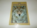 The Coyote Hunter