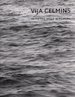 Vija Celmins: to Fix the Image in Memory