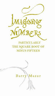 Imagining Numbers: Particularly the Square Root of Minus Fifteen