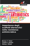 Importanza degli scaffold eterociclici nella resistenza antimicrobica