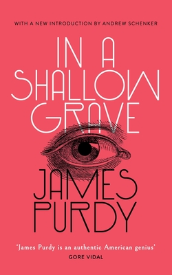 In a Shallow Grave (Valancourt 20th Century Classics) - Purdy, James, and Schenker, Andrew (Introduction by)