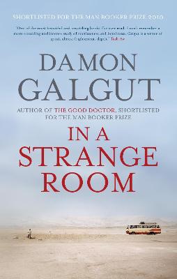 In a Strange Room - Galgut, Damon