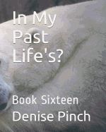 In My Past Life's?: Book Sixteen