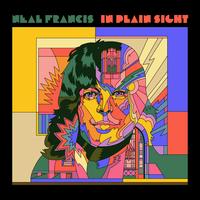 In Plain Sight - Neal Francis