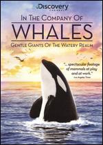 In the Company of Whales - 