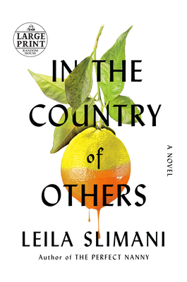 In the Country of Others - Slimani, Leila, and Taylor, Sam (Translated by)