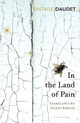 In the Land of Pain - Daudet, Alphonse, and Barnes, Julian (Translated by)