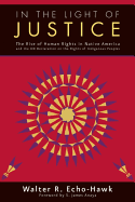 In the Light of Justice: The Rise of Human Rights in Native America and the Un Declaration on the Rights of Indigenous Peoples