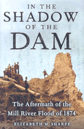 In the Shadow of the Dam: The Aftermath of the Mill River Flood of 1874