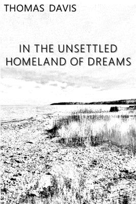 In the Unsettled Homeland of Dreams - Davis, Thomas