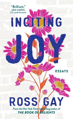 Inciting Joy: Essays - Gay, Ross